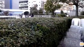 黑人与欧美老妇人❌❌❌❌